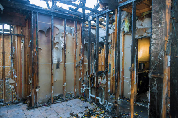 Professional Smoke Damage Removal technician working in Zieglerville, PA
